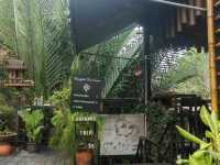 Bangkok Tree House