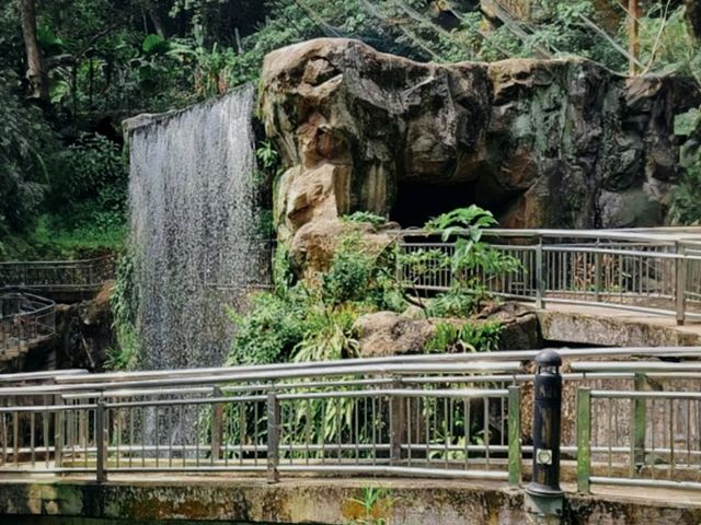 Get Up Close with Birds at KL Bird Park