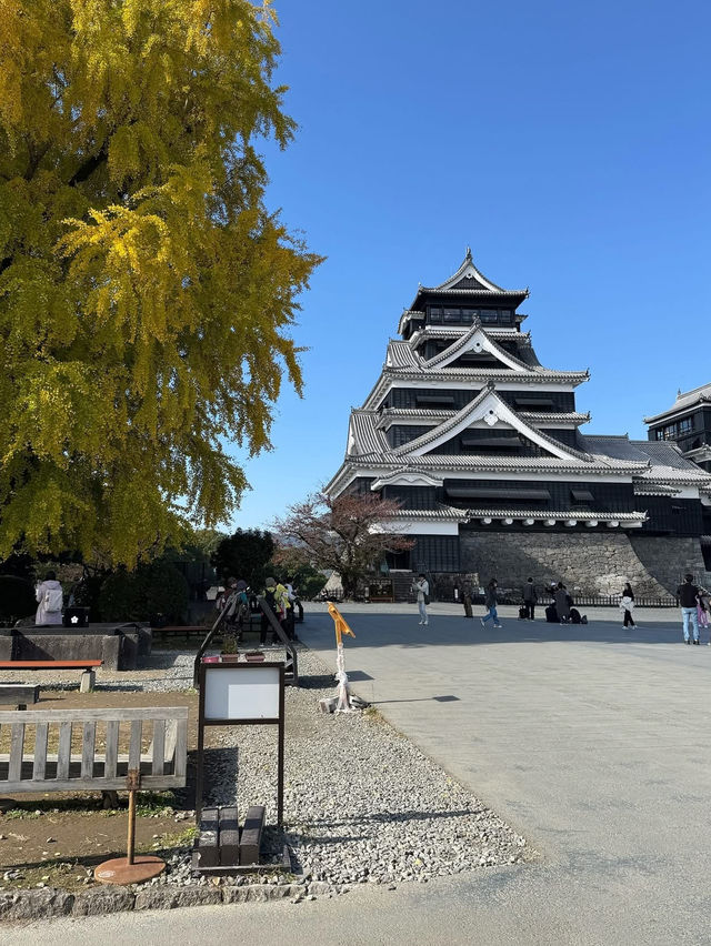 Kumamoto Castle