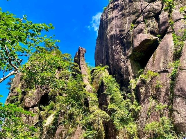 Floating Rocks and Cloud Magic at Sanqing Mountain