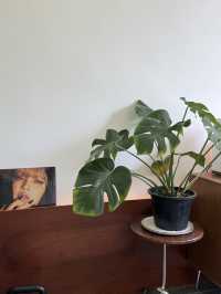 A Life cafe & gallery ร่มรื่นกับเครื่องดื่มอร่อยๆ