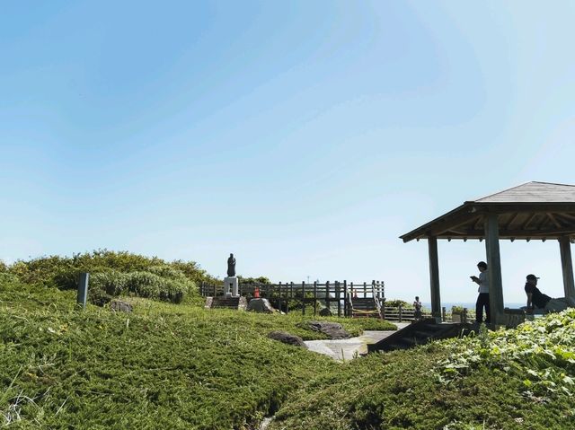 【千葉】太平洋を望む美しい「八幡岬公園」
