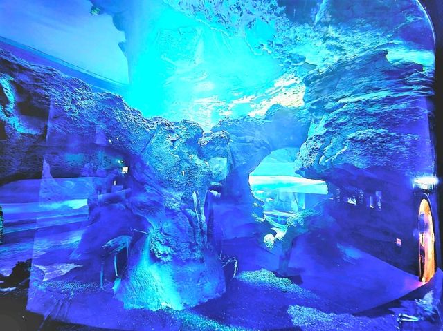 Into the Deep: Where Giants Rest