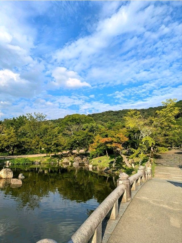 A Stroll Through Maruyama Park – Kyoto’s Peaceful Garden