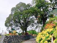 Photosynthesis and Panic: A Day at The Habitat