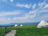 Green grasslands at Nalati Grassland