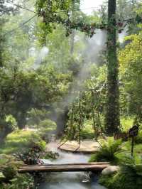 Chengdu’s New Hidden Gem: A Real-Life Emerald Forest Escape! 🦋🌿