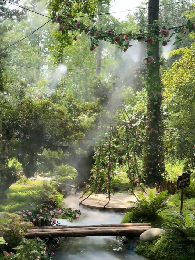 Chengdu’s New Hidden Gem: A Real-Life Emerald Forest Escape! 🦋🌿