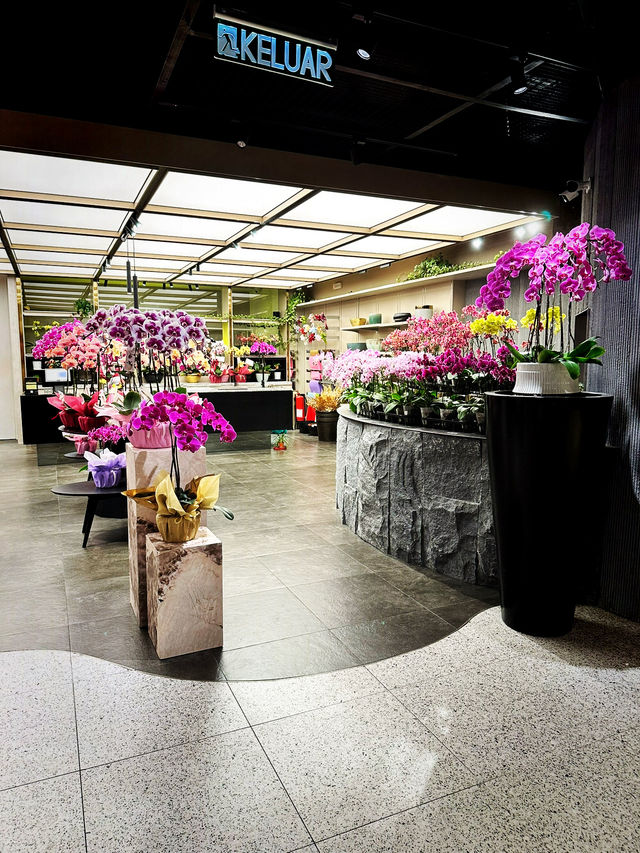 癒しと贅沢のバンサーツアー：チョコ、グリーン、蘭のある暮らし