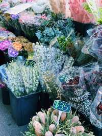 🌸Aesthetic Escape to Fitzroy – A Budget-Friendly Day Out in Melbourne🌿