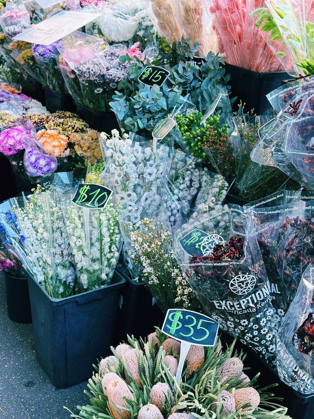 🌸Aesthetic Escape to Fitzroy – A Budget-Friendly Day Out in Melbourne🌿