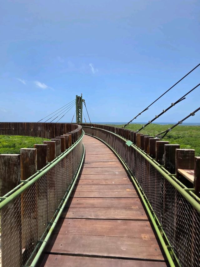 Jungle Trails and Beach Views at Parque del Jaguar