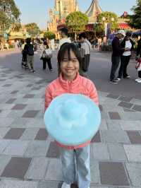 Disneyland in New Year 2025