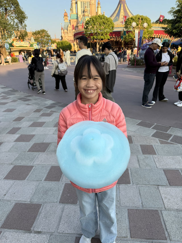 Disneyland in New Year 2025