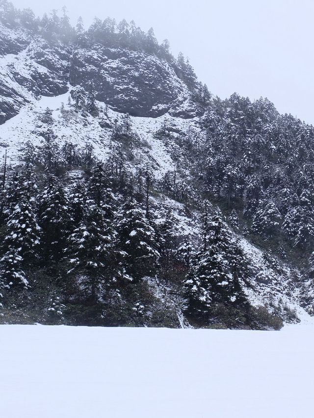Balagezong Shangri-La ❄️🌨️ Balagezong Shangri-La ❄️🌨️