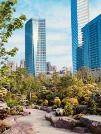 A Photographer's Delight: Urban Landscapes and Natural Beauty