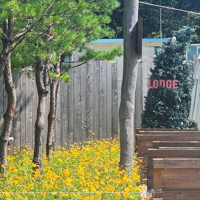 양주 기산저수지 뷰 끝판왕! 감성카페 럿지 양주 기산저수지 뷰 끝판왕! 감성카페 럿지