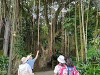 🐼 台北市立動物園 - 城市中的野生秘境
