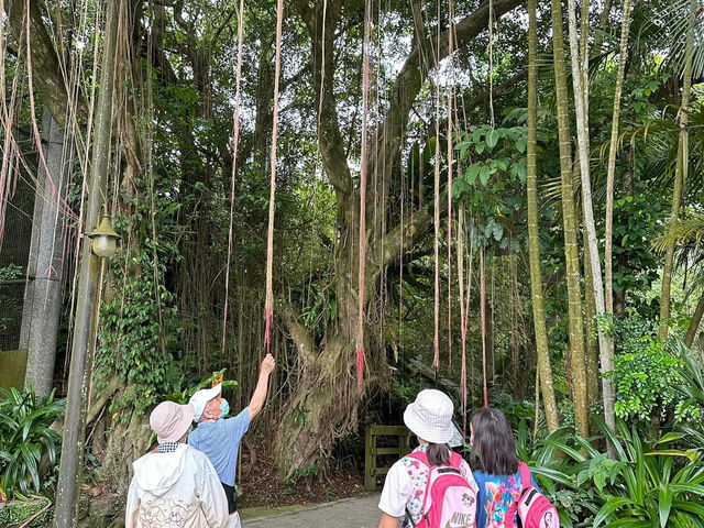 🐼 台北市立動物園 - 城市中的野生秘境