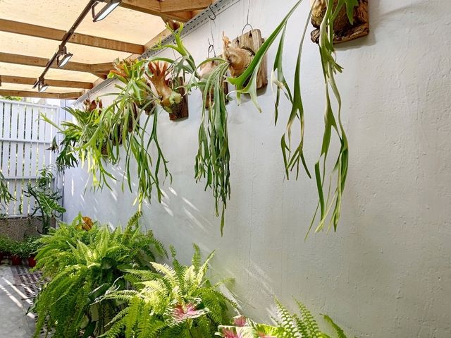 桃園大溪新開幕咖啡廳-默野咖啡-鹽可頌專賣店