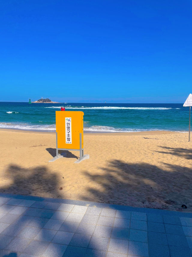 외옹치 바다향기로🌊 