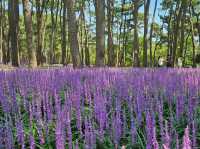 The day is nice for a stroll at Daewangam at Ulsan