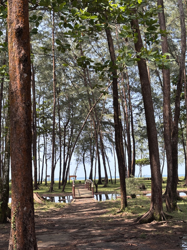  หาดแหลมสน @ ระนอง