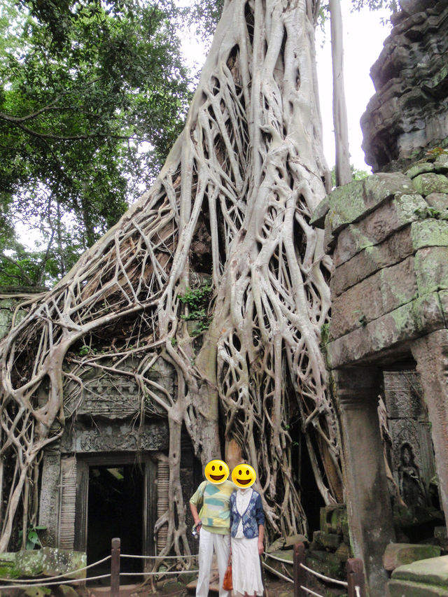 Ta Prohm, Cambodia: Where Roots Embrace Ruins