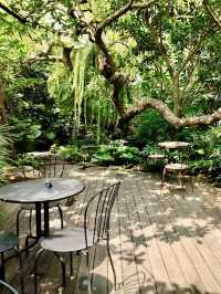 คาเฟ่สีเขียว เติมพลังธรรมชาติ 🌿☕✨