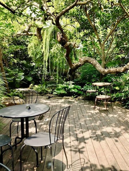คาเฟ่สีเขียว เติมพลังธรรมชาติ 🌿☕✨