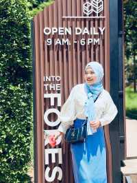 Into the Forest Cafe — กระบี่ 🍵