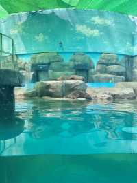 【韓国🇰🇷光州/動物園🦓】 우치공원동물원 全て無料でこのクオリティ‼️😳