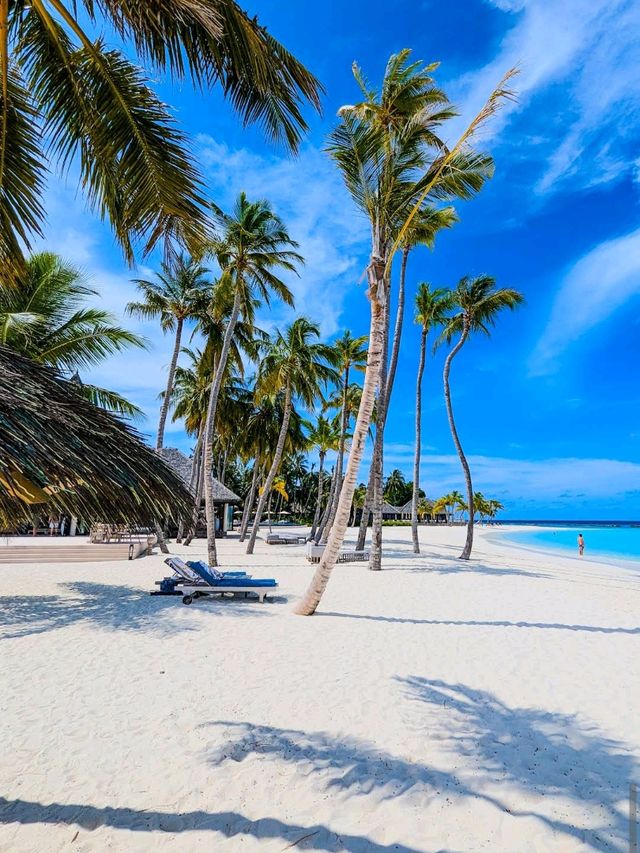 Veligandu Island Resort & Spa 