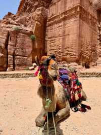 A Timeless Wonder Carved into the Rose Red Cliffs