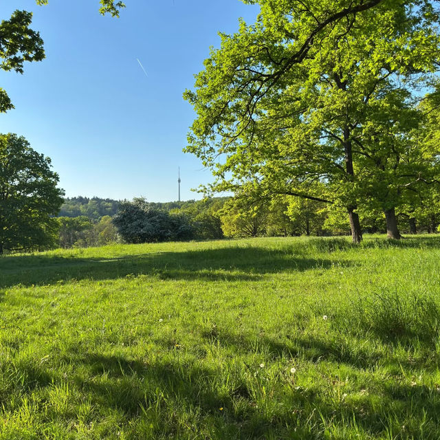 Eichenhain Stuttgart – A Woodland Nature Reserve