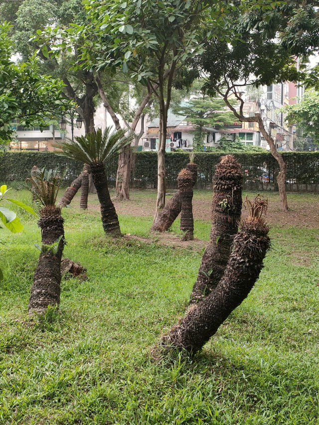 Temple of Literature, Hanoi – A Sanctuary of Wisdom and Hope