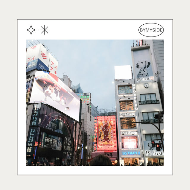 🌆 Shinjuku ศูนย์กลางเมืองโตเกียวที่ไม่เคยหลับใหล 🌆 Shinjuku ศูนย์กลางเมืองโตเกียวที่ไม่เคยหลับใหล