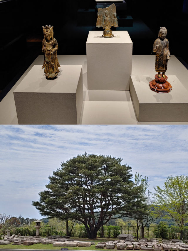 🌙낭만과 고즈넉함이 공존하는 경주 명소 탐방🌿