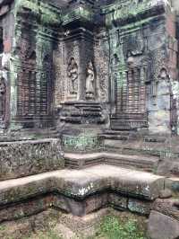 Nature Takes Over - Ta Prohm