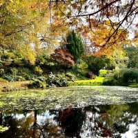 Ayrlies Garden – Auckland’s Subtropical Paradise