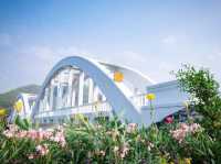 🌉 สะพานขาวแม่ทา – แลนด์มาร์กสุดคลาสสิกกลางขุนเขา