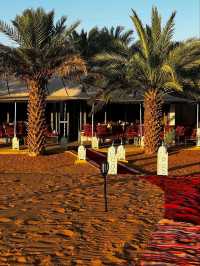 The Endless Beauty of the Sahara Desert