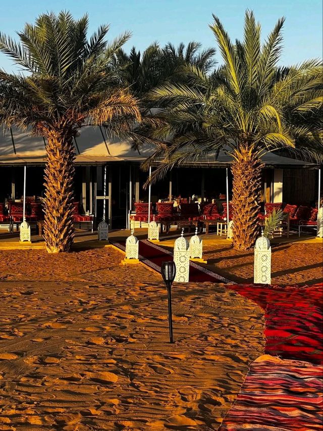 The Endless Beauty of the Sahara Desert
