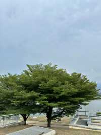 Sunny River Stroll🌿 Anjung Floria – Putrajaya’s Garden of Colors 