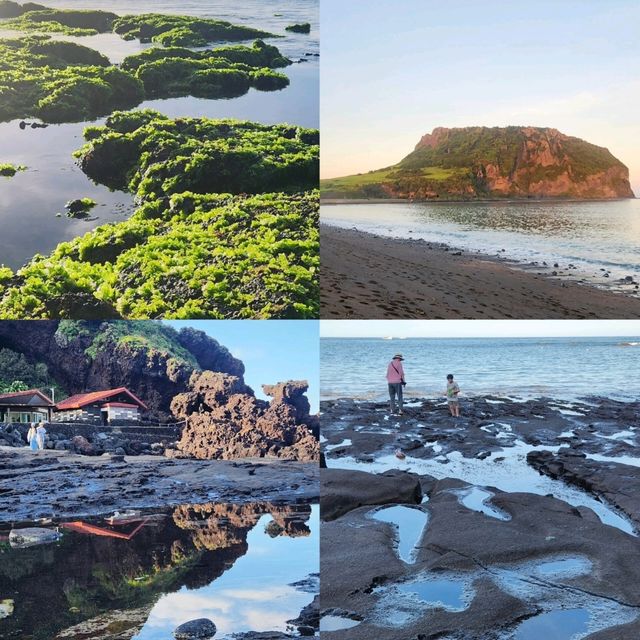 Summer Bliss on Jeju Island! ☀️✨ Summer Bliss on Jeju Island! ☀️✨