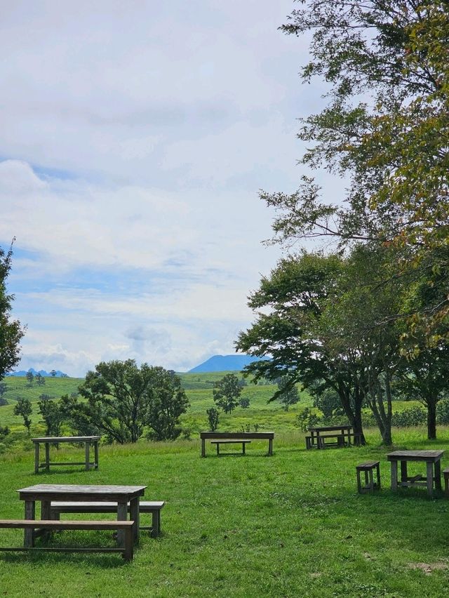 巨石が点在する古代の聖地と称される、阿蘇のパワースポット