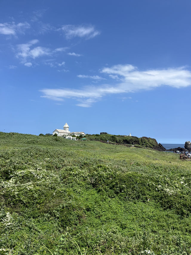 어딜 봐도 다 예뻐서 놀라는 제주도 산책로