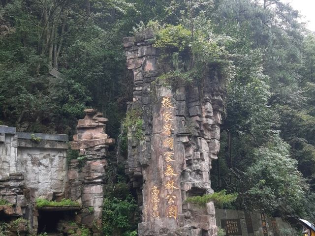 Toilet Travel & Nature Wonders: Changsha, Zhangjiajie, & Fenghuang Adventure 🌄🚽