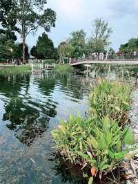 Golden Hour Bliss at Tasik Titiwangsa: Sunset Escape for the Whole Family