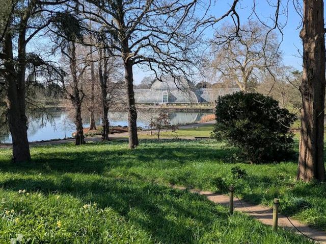 Royal Botanic Gardens, Kew